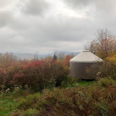 Hotel Livingston Manor Yurt Parksville Exterior foto