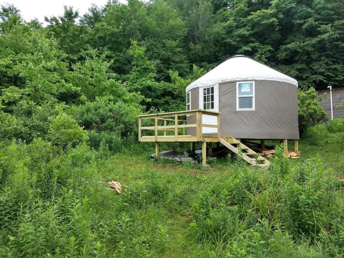 Hotel Livingston Manor Yurt Parksville Exterior foto